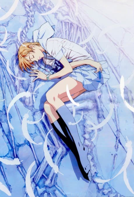 Escaflowne: A Girl in Gaea cover