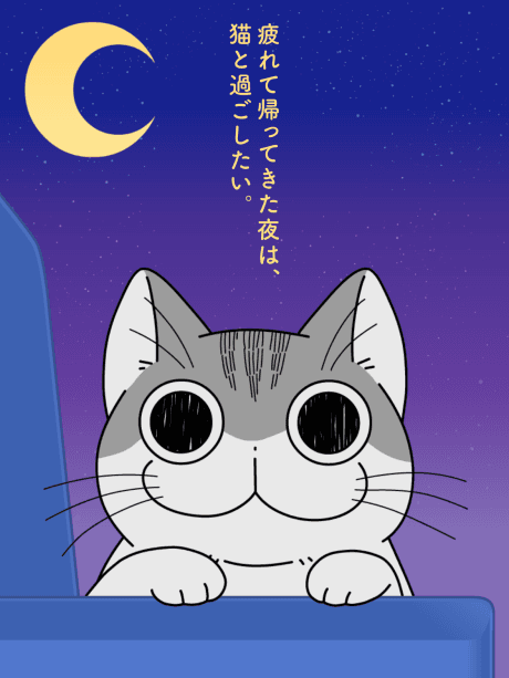 Nights with a Cat Season 2 cover