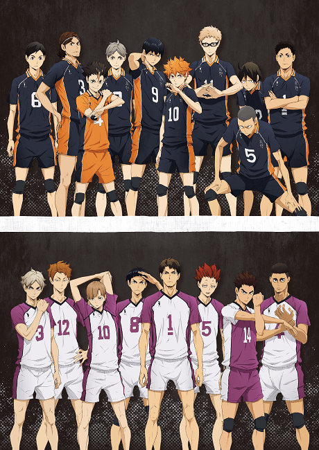 HAIKYU!! 3rd Season cover