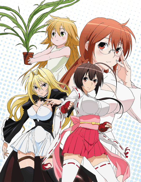 Sekirei cover