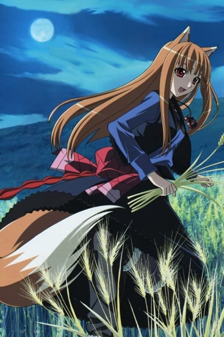 Spice and Wolf II: Wolf and the Amber Melancholy cover
